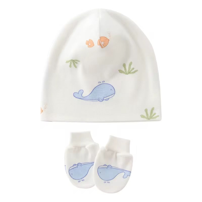 Newborn Beanie Set