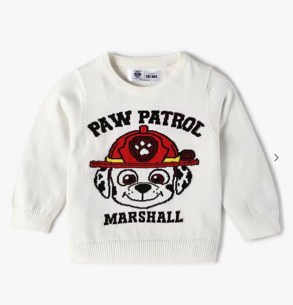 Paw Patrol Sweater
